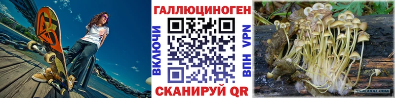 Псилоцибиновые грибы мухоморы  Купить где  Бронницы 